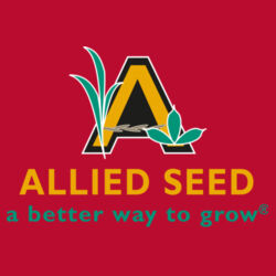 Tall Essential Tee Design