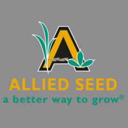 Women's Relaxed Triblend Tee Design