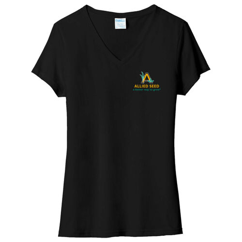 Ladies Tri Blend V Neck Tee Thumbnail